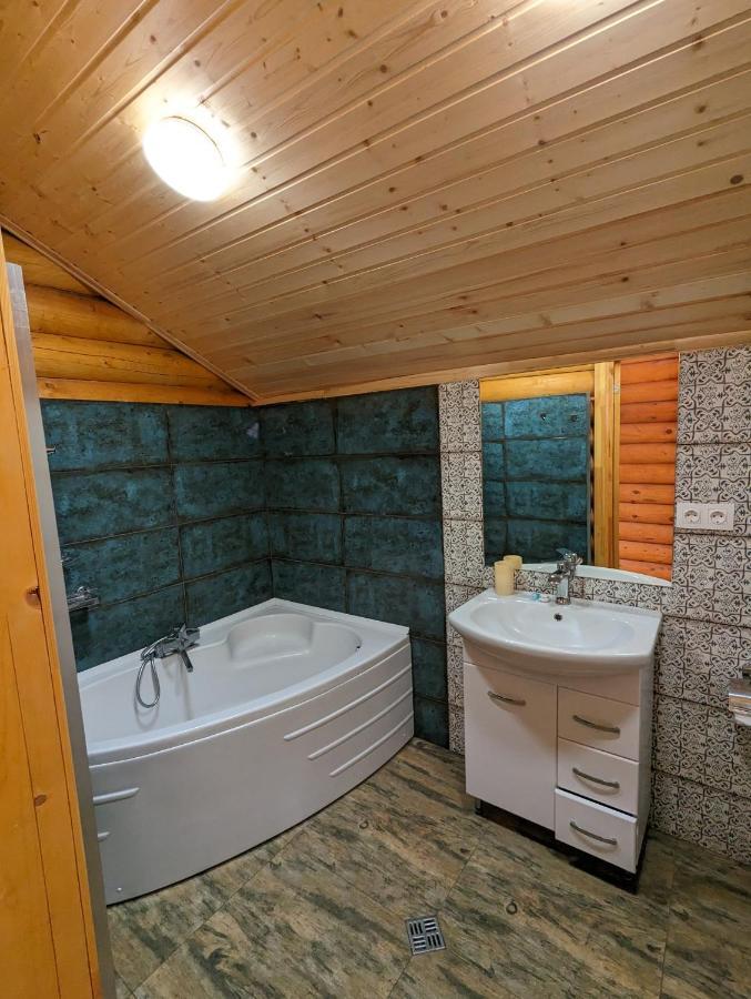 Chalet Log House Bakouriani