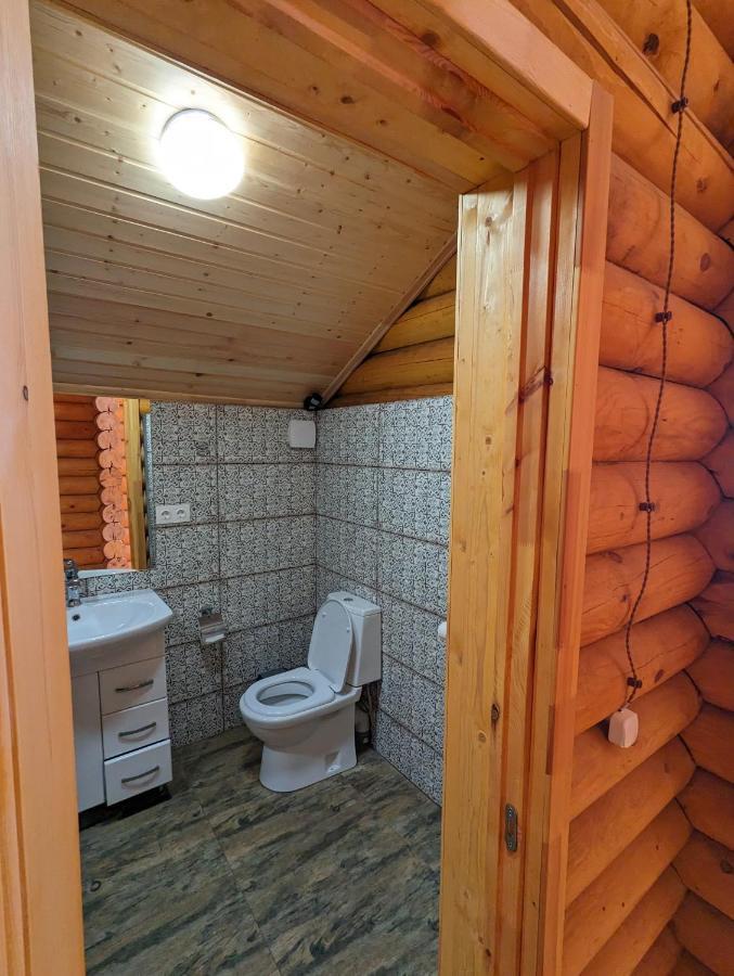 Log House Chalet Bakouriani