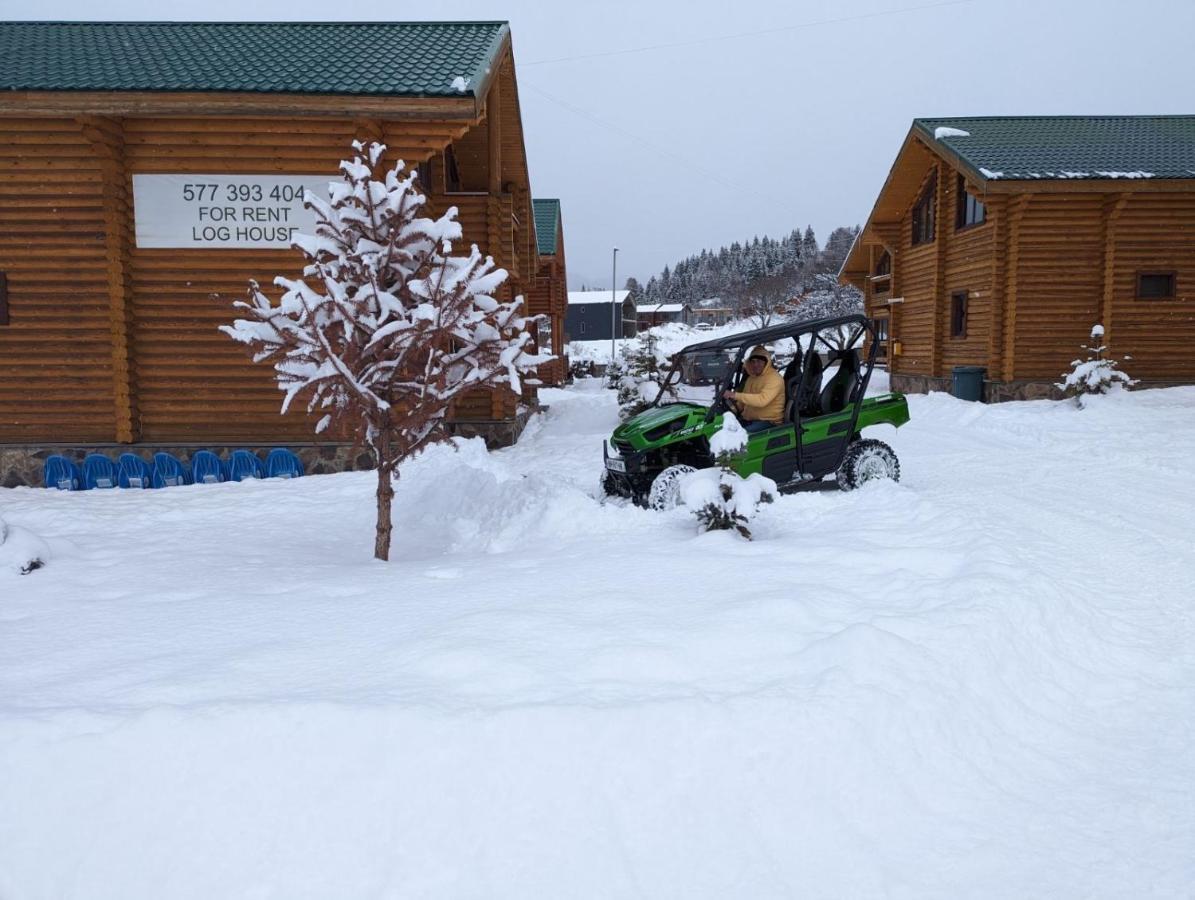 Log House Chalet *